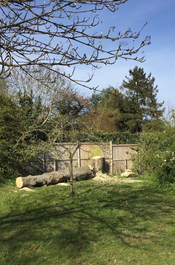 Tree cutting service